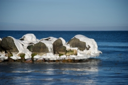 Žiema ant jūros akmenų